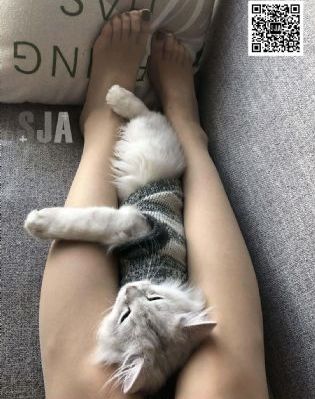 台湾版雪乡之春_蓝光BD在线观看