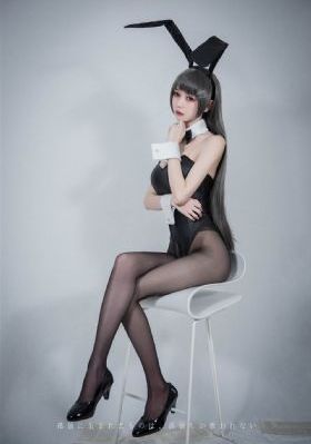 泰迪熊1高清免费完整版在线观看_BD韩语手机在线观看